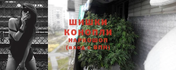 сатива Богданович