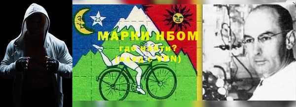 COCAINE Богородицк