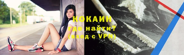 сатива Богданович