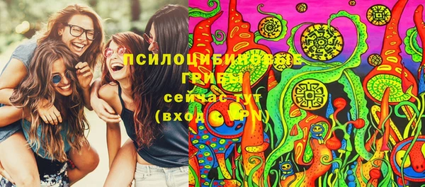 COCAINE Богородицк