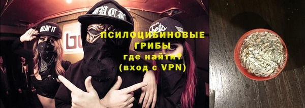 сатива Богданович