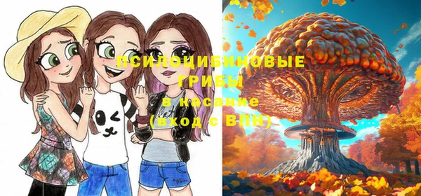 сатива Богданович