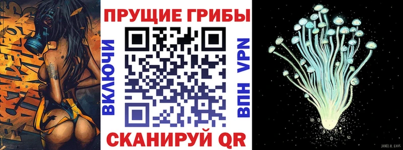 ссылка на мегу зеркало  Краснознаменск  Галлюциногенные грибы Cubensis 